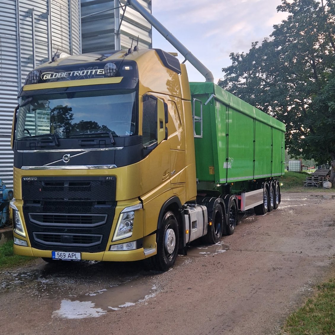 Volvo FH roheliste Mega haagisega vilja laadimisel